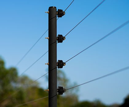 Seguridad y automatización (Cerca eléctrica)